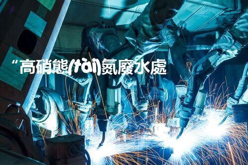 “高硝態(tài)氮廢水處理，綠色環(huán)保新篇章”